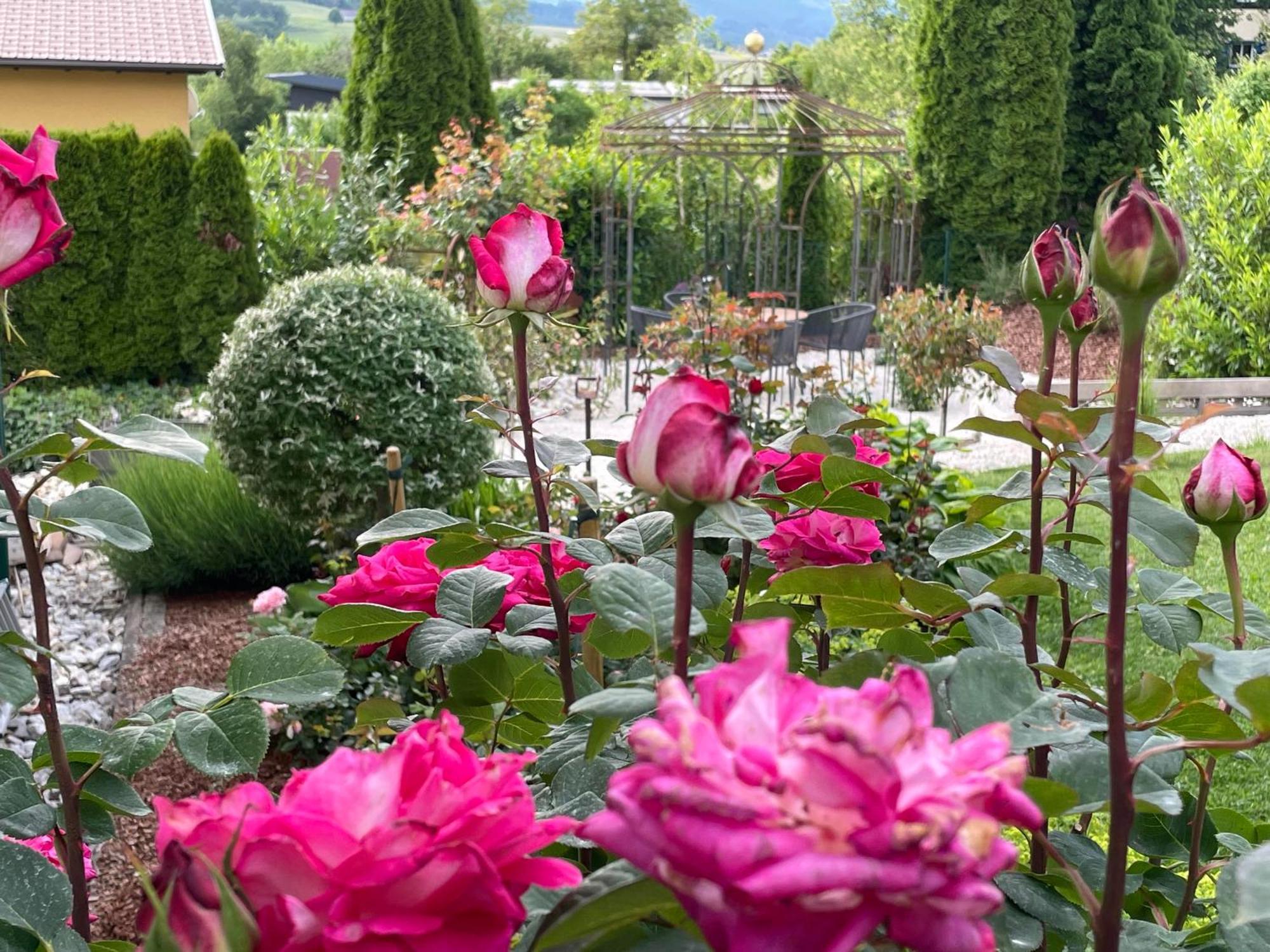 Bed And Breakfast Mittelkaernten Althofen  Kültér fotó